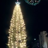 Lemoore's stately Christmas tree